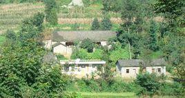 新发村