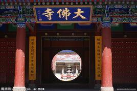 大佛寺-永川大佛寺