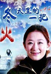 冬天里的一把火-2006年金琛执导的电影
