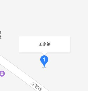 王家镇-辽宁省大连市庄河市王家镇