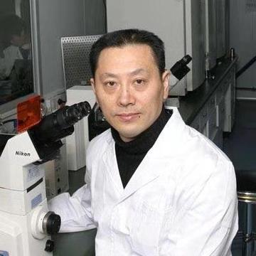 赵春华