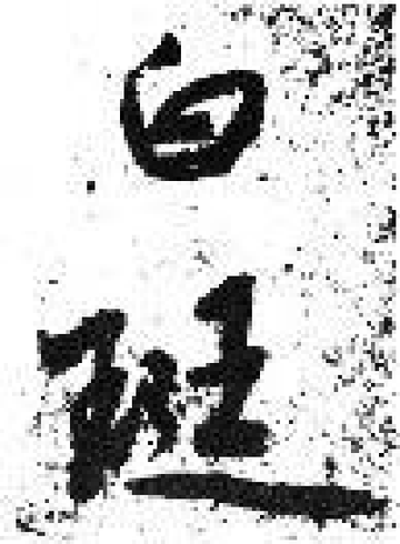 白珽