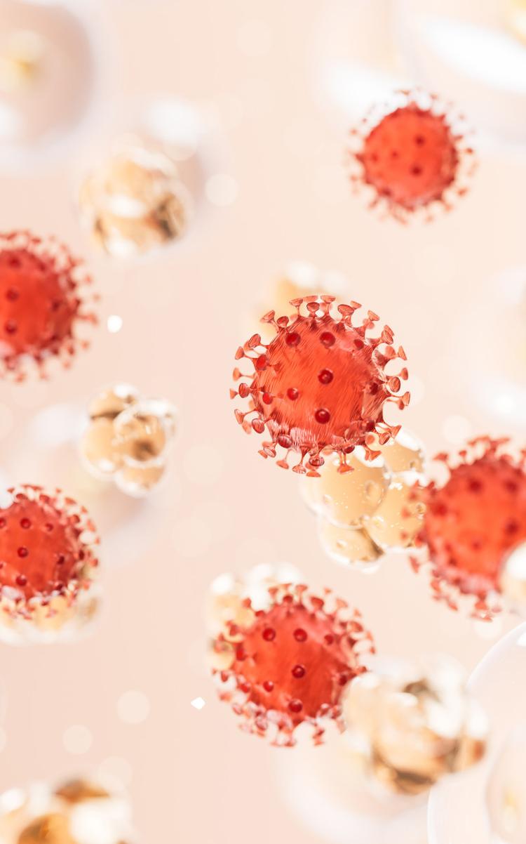 真棒有大圖了#崩壞學園2 #崩壞3rd, image size:750x1202