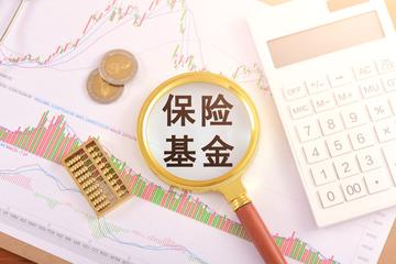 保险基金-社会后备基金种类之一