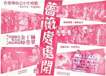 蔷薇处处开-1956年王天林执导电影