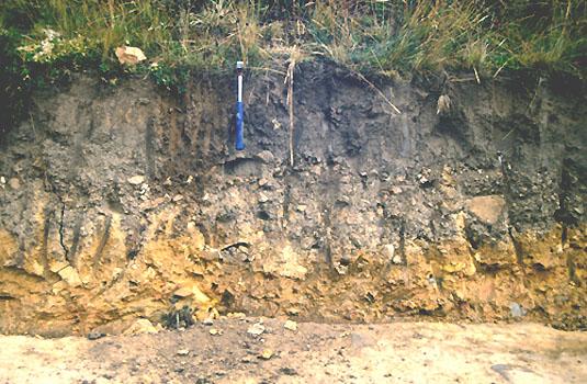 火山灰と土壌 Volcanic Ash and Soil 本 火山灰と土壌 Volcanic Ash