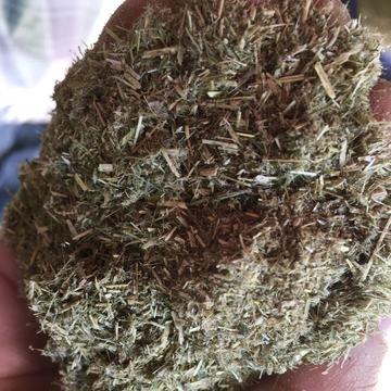 苜蓿草粉-由苜蓿草按茎叶比例制成的草粉