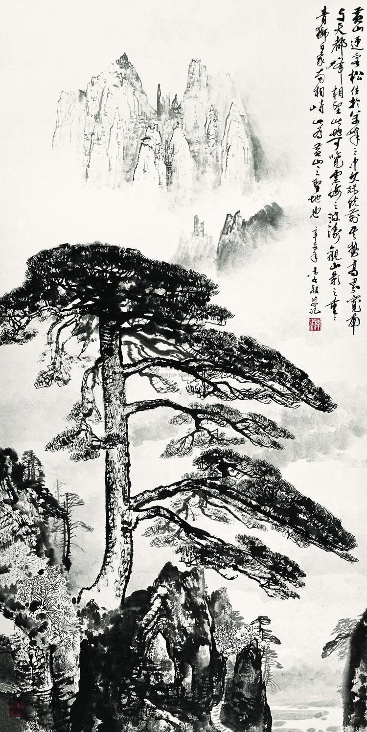 黄山迎客松图- 抖音百科