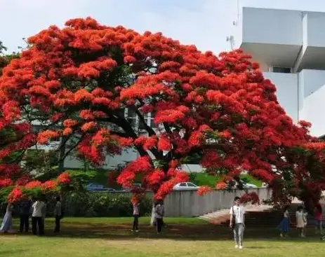 汕头大学