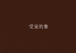 受宠的象-受宠的象