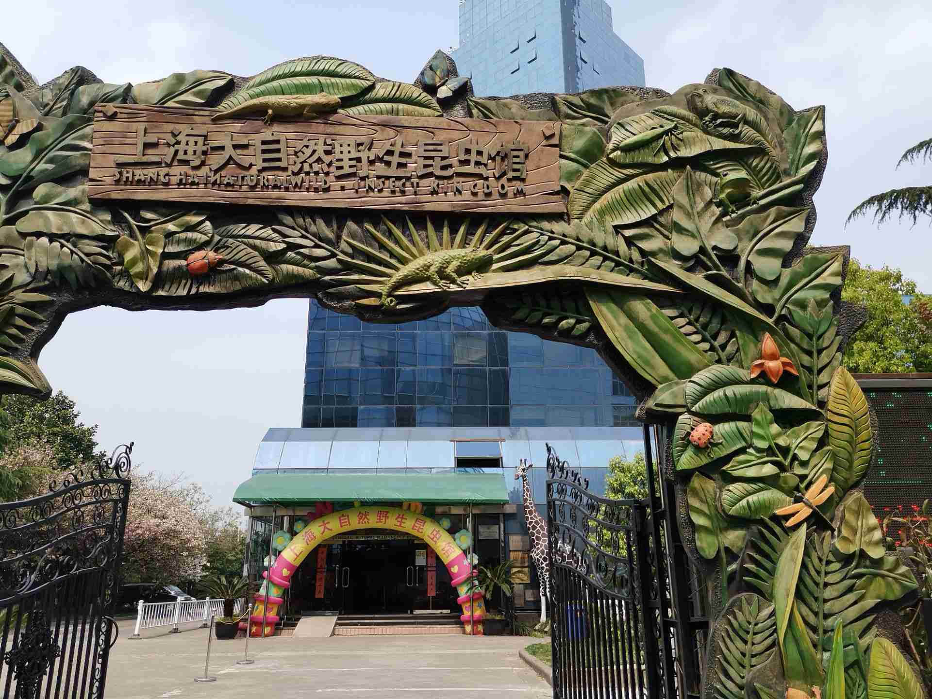 上海大自然野生昆虫馆- 抖音百科