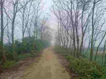 鹤地村