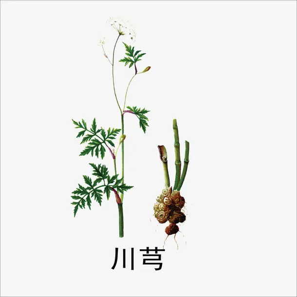 活血化瘀药