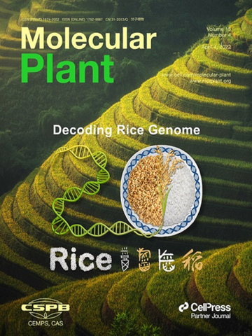 分子植物-分子植物