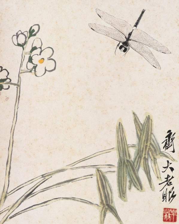 蜻蜓- 抖音百科