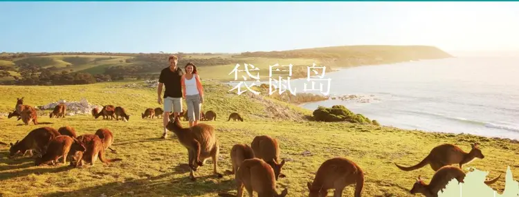 袋鼠岛
