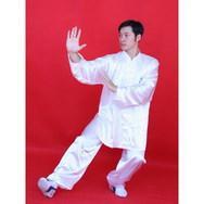 食鹤拳- 抖音百科