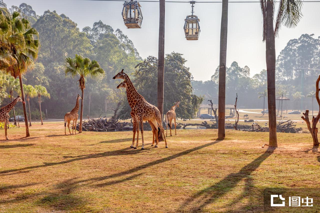 自定义二维码生成器：添加Logo \u0026 其他形状, image size:1280x852