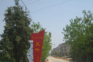 丽阳