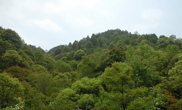 韩山森林公园