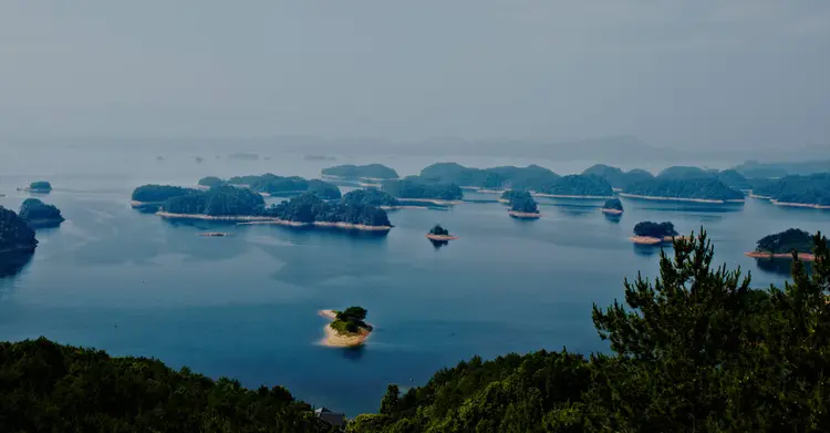 农夫山泉股份有限公司