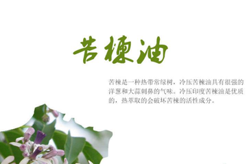 苦楝油