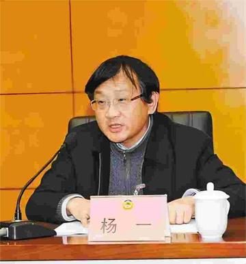 杨一