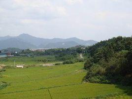 勤丰村-江苏江阴华士镇下辖村