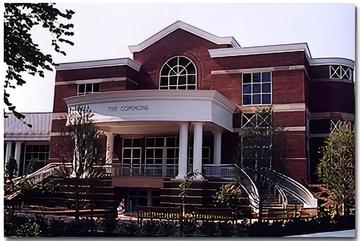 索尔兹伯里大学-索尔兹伯里大学