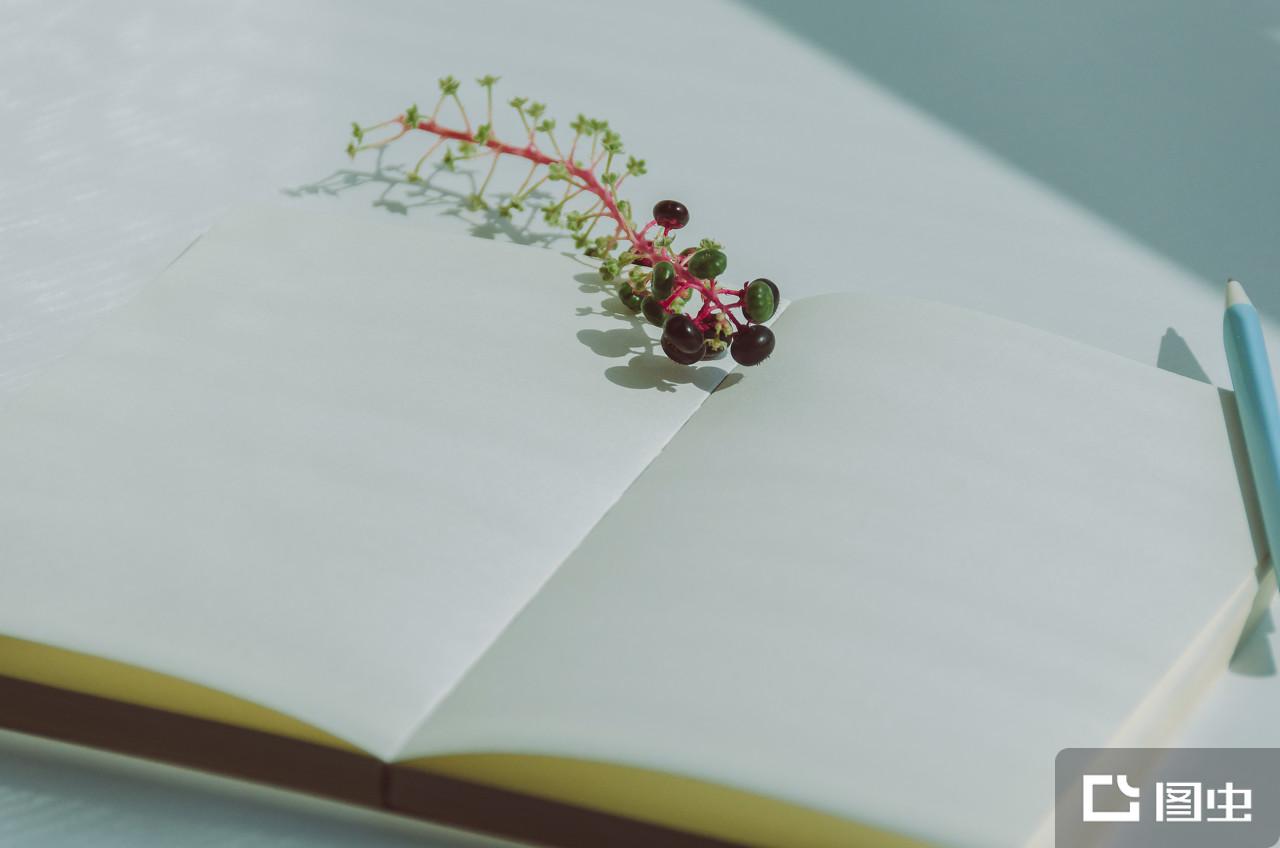 耽美文学- 抖音百科