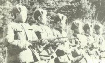 老秃山战斗-老秃山战斗