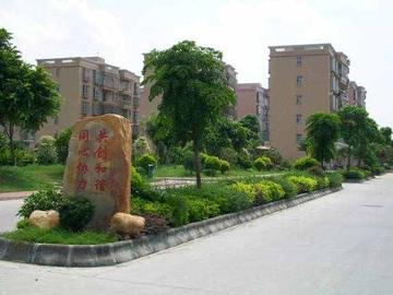 罗格村