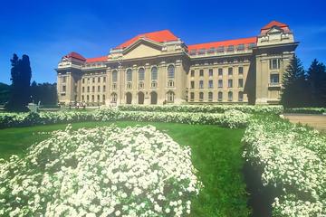 德布勒森大学