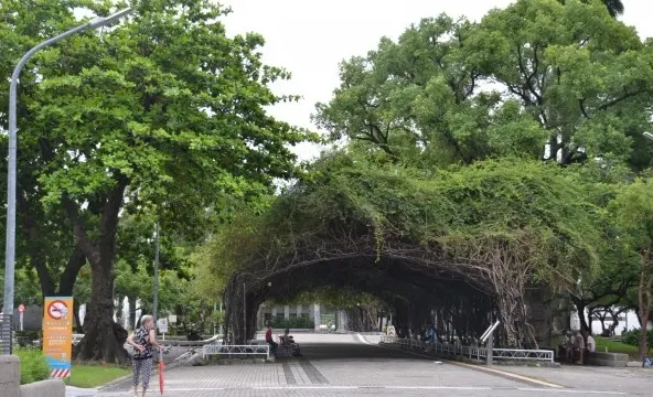 屏东市