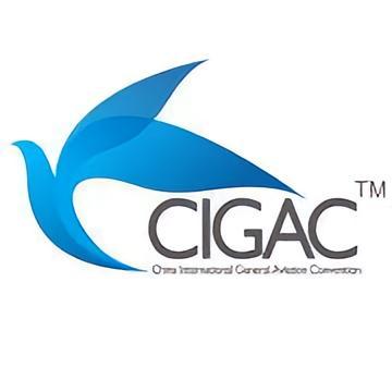 中国国际通用航空大会-中国国际通用航空大会
