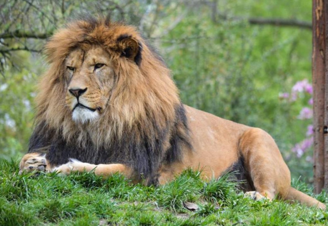 滔滔不绝Dialogue - Podcast - Apple Podcasts, image size:1143x788