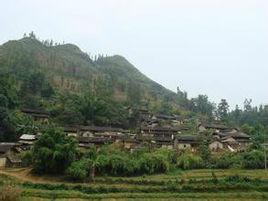 白果村-云南省文山州马关县仁和镇白果村