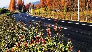 歙黟一级公路-安徽自歙县至黟县渔亭的公路