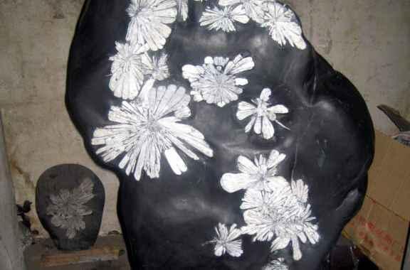 URA]天然草彫菊花石/5223g/7-12-92(検)骨董/天然石/原石/鑑賞石/