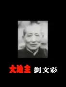 窦文涛