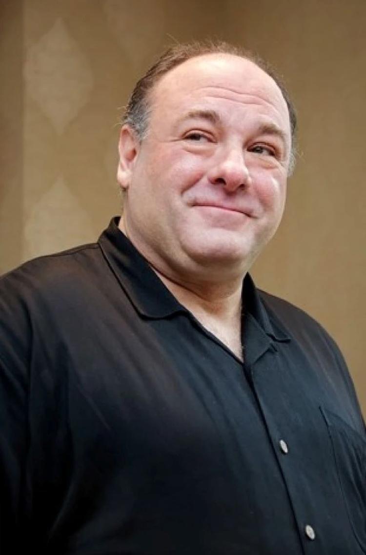 詹姆斯·甘多菲尼- 抖音百科, image size:750x1137