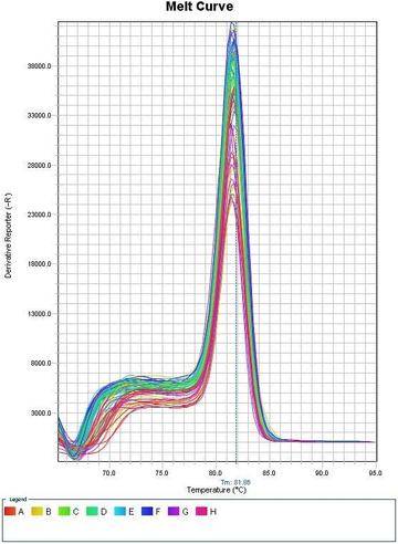 实时荧光定量PCR-一个极有效的实验方法
