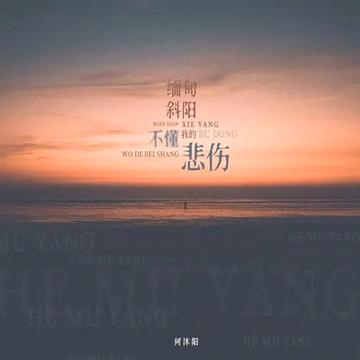 缅甸斜阳不懂我的悲伤-缅甸斜阳不懂我的悲伤