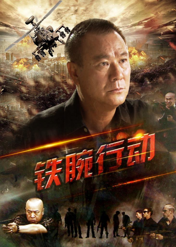 铁腕行动-2013年穆龙执导的电视剧