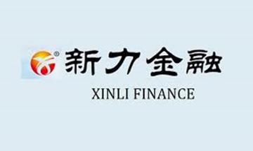 安徽新力金融股份有限公司-主要经营水泥及相关产品企业