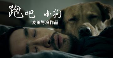 跑吧小狗-跑吧小狗