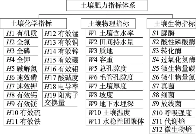 土壤肥力