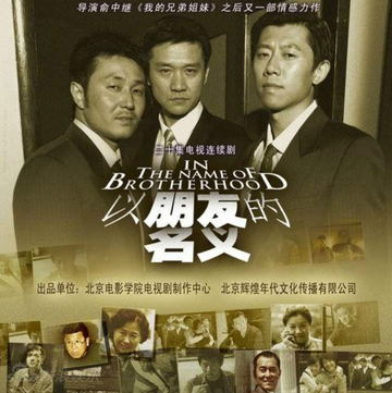 以朋友的名义-2006年俞中执导电视剧
