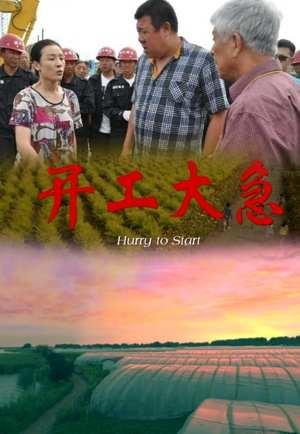 开工大急-2015年高力强执导电影