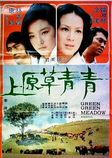 青青草原上-1974年张美君导演的电影